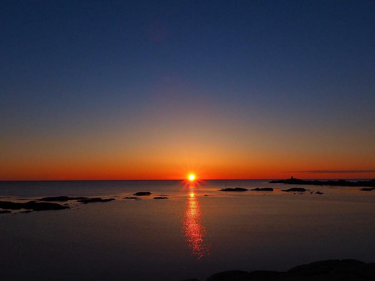 Midnight Sun View Lofoten Ferienhaus