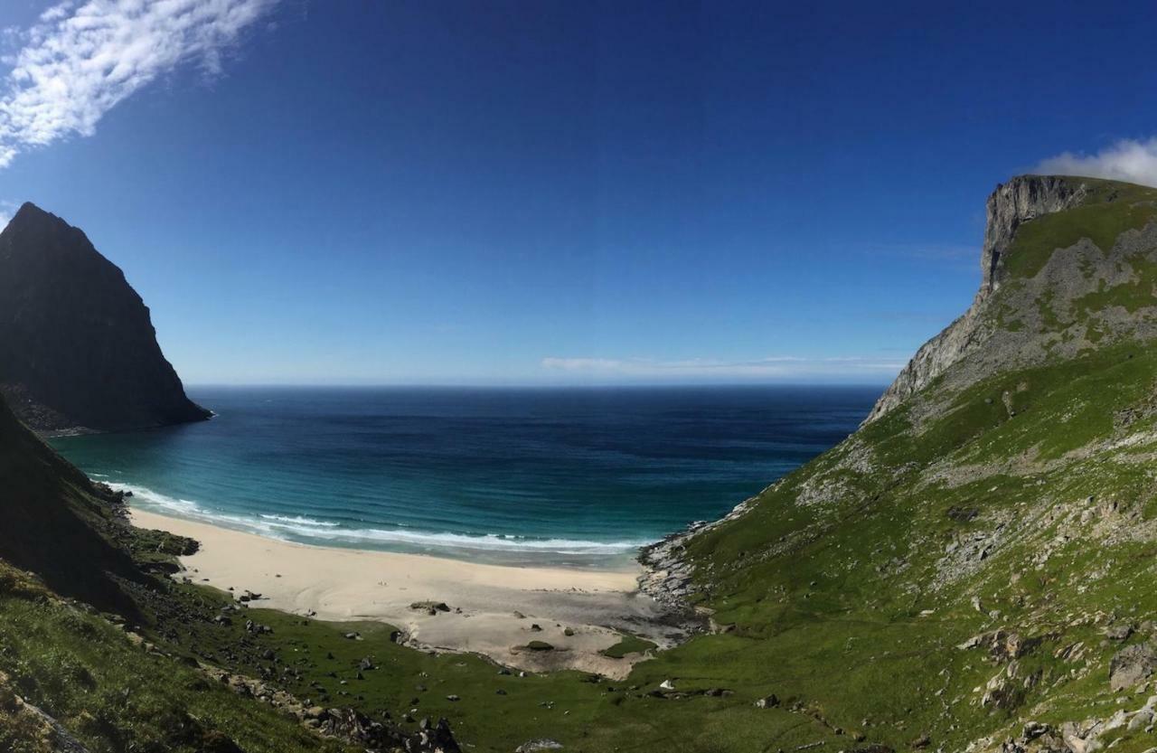 Midnight Sun View Lofoten *