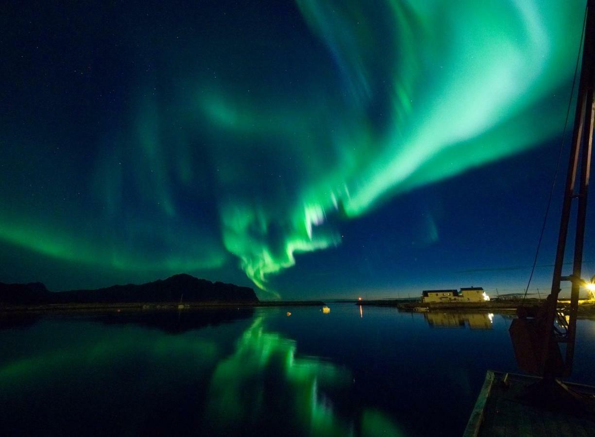 Midnight Sun View Lofoten *