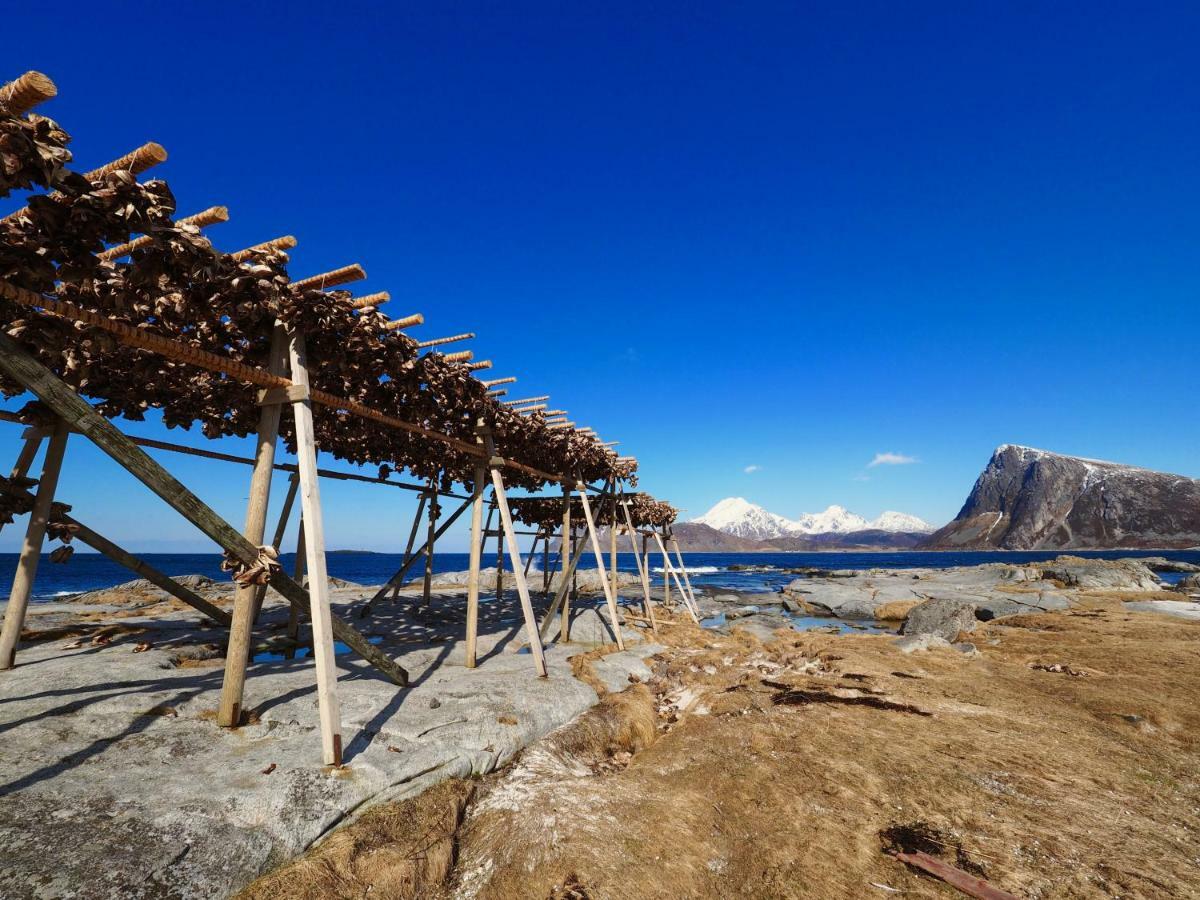 Ferienhaus Midnight Sun View Lofoten