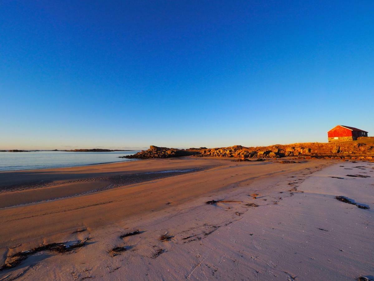 Midnight Sun View Lofoten *