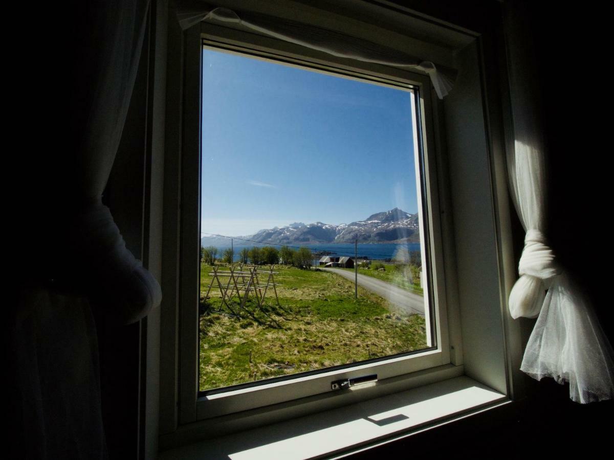 Midnight Sun View Lofoten *
